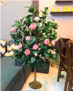 Cây hoa trà mi giả - Size 100cm đến 160cm - Cây giả hoa lụa Decor trang trí nhà cửa