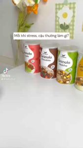 [COMBO 3 HŨ] Granola Không Trái Cây Sấy Nhiều Topping 80% Hạt & Viên Sữa Chua Ít Đường Ăn Liền Befresco