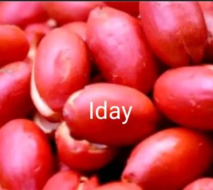 kulit Tangkil 1kg kulit melinjo ful Mateng seger Termurah