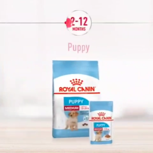 [10kg] Hạt Cho Chó Con Giống Vừa Royal Canin Medium Puppy