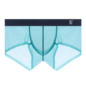 AEEEYEEE | Ice Silk Seamless Lightweight Transparent Briefs