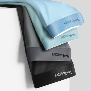 MiiOW 4Pcs Lot ผู้ชายนักมวยกางเกงขาสั้น Graphene Antibacterial ผ้าไหมน้ำแข็งชุดชั้นในชาย Boxershorts ไม่มีรอยต่อ Breathable กางเกงในชาย L-5XL M1511