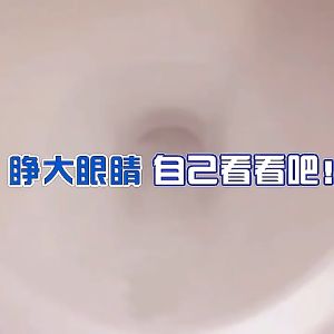 Automatic Toilet Cleaner Deodorant Blue Bubble 350ml 马桶清洁剂自动洁厕灵强力去污蓝泡泡液去异味厕所除臭神器