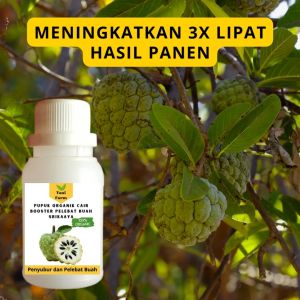 Pupuk Srikaya Cepat Berbuah / Pupuk Pelebat Buah Srikaya / Pupuk Booster Srikaya Cair