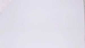 Dental Sterilization Box Autoclave For Forceps Tooth Extraction Elevators Surgical Instrument Holder Plastic Disinfection Case