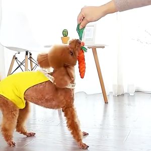 Đồ chơi cà rốt bện thừng cotton cho thú cưng nhai gặm hỗ trợ huấn luyện chó mèo 22cm