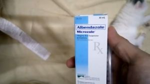 Microzole Albendazole Dewormer for Dog and Cats 30ml