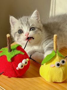 Cute Tomato Pear Wood Tianliao Fruit Toy Self Entertaining Durable Interactive Cat Toy Teaser Stick for Kittens Boredom Buster