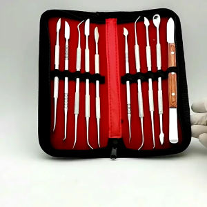 Carving Tools Oral Care Wax Carving Knife Wooden Handle Dental Restoration Wax Model Tool 10-Piece