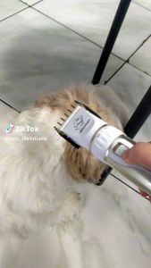 COD BAORUN MESIN ALAT CUKUR ELEKTRIK BULU HEWAN DOMBA GARUT ANJING KUCING SUPER TAJAM KABEL CAS X3