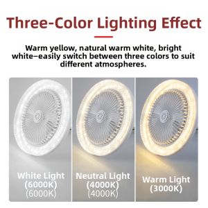 JINYULAI | Quiet Home Use Small Ceiling Fan Light