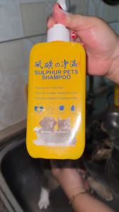 Pet Dog Cat Natural Shampoo 300ML Antibacterial Shower Gel for Cat and Dog Beauty Hair Pet Grooming Sabun Syampu Kucing Pet Skin Problem Multifunctions Shampoo Nano Sulphur Skin sensitive Ubat Kurap Shampu