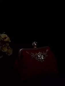 Clutch nữ túi dự tiệc cầm tay vải nhung đính đá sang trọng LILA CN5H42