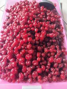 Manisan Ceremai 500 gr