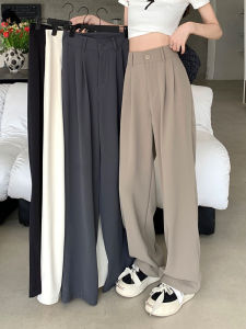 High Waist Narrow Version Suit Pants Womens Spring Casual Wide Leg Pants Elegant Drapey Style Casual Leisure Trousers