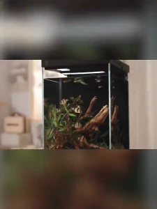 Xiaomi Aquarium Fish Tank Desktop Smart Aquarium Set All-in-One Machine easy to place Remote Feeding