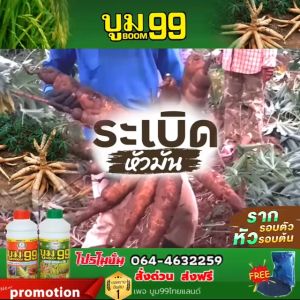 🆓ส่งฟรีไม่ใช้โค๊ด บูม99 ปุ๋ยน้ำสำหรับพืช เร่งราก ต้น ใบ เพิ่มผลผลิตได้ดี ปุ๋ยทางใบ ไม่ได้ผล ยินดีคืนเงิน ขนาด 1000 ml 2 ขวด
