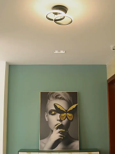 Nordic Small Simple Modern Creative Artistic Corridor Ceiling Light for Entry Foyer Balcony