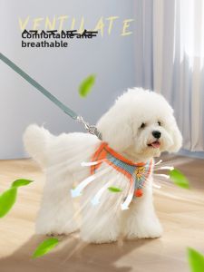 VOA | Pet Leash for Small Dogs - Puppies Teddy Pomeranian Bichon Frise