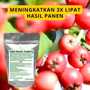 Pupuk Booster Cranberry Pelebat Organik Cepat Berbuah Lebat Besar Anti Rontok Pembesar Cranberry