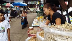 ปลาเนื้ออ่อน ปลาใบอ้อย(ปลาเนื้ออ่อนพม่า) ปลาใบไผ่ 1กิโบกรัม ราคาส่ง