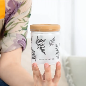 Hydroponic Planter Desktop Terrarium with Lid Water Plant Vase for Indoor Gardening Unique Gift for Women Plant Lovers