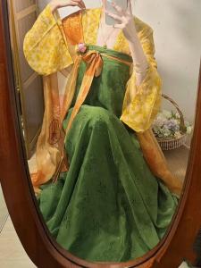 Summer Tang Dynasty Chinese Traditional Costume Womens Mini Tang Style Printed Ancient Fashion Daily Thin Skirt Ensemble