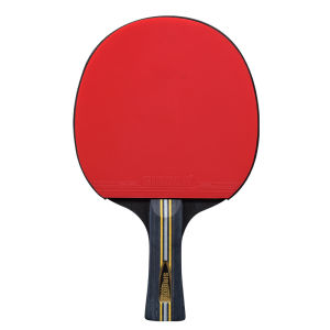 SIRDAR | Dual-Sided Anti-Rubber Table Tennis Set Child Adult Use