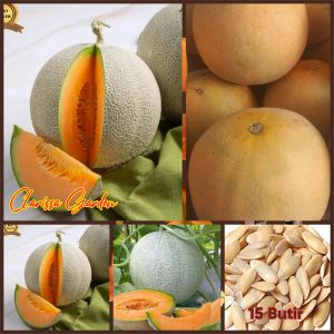 BIJI | BENIH MELON MADU DAGING KUNING