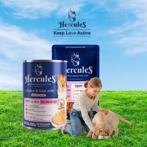 [HỘP 12]Pate chó Hercules 130g  FREE SHIP  Pate chó chứa Krill oil bổ não Thái Lan