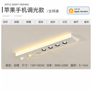 Modern LED Ceiling Light