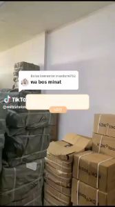 Rachet Tie Down 5 Meter 1 TON Webbing Cargo Lashing Belt Trackbelt Tali Ikat Sabuk Truk tali 5CM