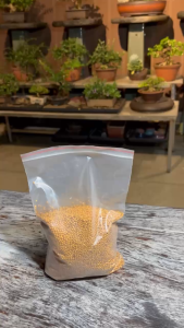 Phân vàng Osmocote tan chậm NPK 14-14-14