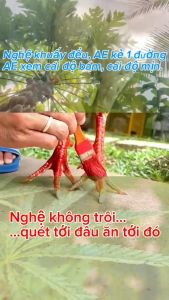 1 KG (2 Hủ) Bột Nghệ Đỏ (Nghệ vô gà) Nguyên chất Mịn Bám rút