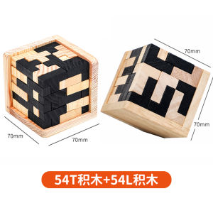 Hell Level 10 Pressure Resistance Intelligence Toy Puzzling Magnetic Blocks Wooden Puzzle Game for Ages 10 And above