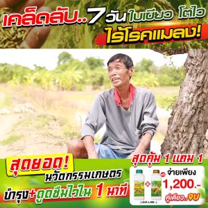 งาม1 งาม2 อาหารเสริมพืช ต้นโตไวใบเขียวเข้ม เร่งดอก เร่งราก เพิ่มความหวาน ป้องกันแมลง kaideeshop888