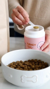 Turkey Tail Mushroom Powder for Dogs | Immune Booster Gut Health Skin Coat Joint Supplement