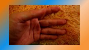 Sarung Bantal Bulu Kursi/Sofa Ukuran 40x40cm 30x30cm Elastis Glossy