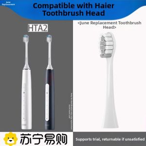 June Initial Small Mo Brush Electric Toothbrush Head Deep Cleaning Replacement for Haier HTA2-HYB/SHF/JYL Normal Specification