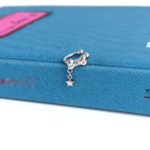 Unique Beautiful Clip-On Earrings for Women No Piercing Required Store Exclusive Elegant Design  out Fashion Jewelry Accessories