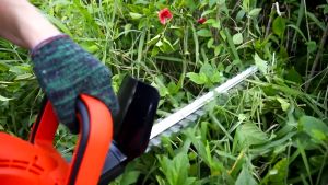 Electric Cordless Hedge Trimmer Grass Shear Handheld Grass Clipper Hedge Cutter Machine Power Hedge Trimmers Lawn Mower gardening tools and equipment grass cutter trimmer cordless electric hedge trimmer cordless potong rumput mesin trim pokok bunga
