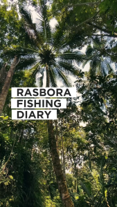 Umpan Ikan Mikro Fishing Pelet Rasbora 65gram 70gram dan 90gram Dengan Cara Pakainya