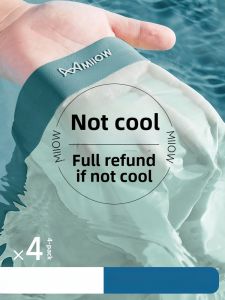 MiiOW | Ice Silk Seamless Mens Underwear Summer Thin Flat Angle Shorts Youth Mid Waist Briefs Breathable Comfortable Nylon Fabric