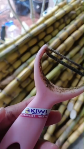 Kiwi Brand Pro Peeler 【217】/Stainless Steel Flat Blade Grater Knife /Fruit & Vegetable Peeler Cutter Slicer Kitchen Tool