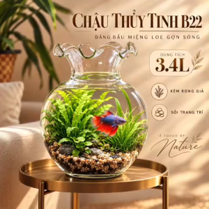 Bể Cá Mini Thủy Tinh B22 Dáng Bầu Miệng Gợn Sóng Kèm Rong Giả Và Sỏi Trang Trí