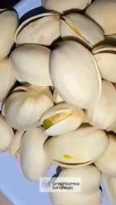 KACANG PISTACHIO / FUSTUK (PREMIUM) 250GR Kacang Ketawa Khas Arab Timur Tengah Oleh Oleh Haji Umroh