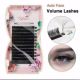 Distributor Eyelash