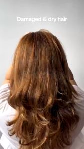 DẦU HẤP TÓC LOREAL REPAIR GOLDEN ABSOLUT CHĂM SÓC TÓC HƯ TỔN 500ml