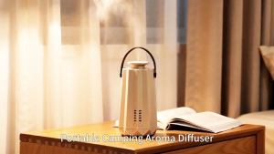 NAMSTE Portable Aromatherapy Essential oil diffuser Bluetooth for Home (250m³)