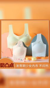 Teenager Bra Girl Bra Kids Girl 8-16 Years Bra Ice Silk Antibacterial Underwear Removable Antibacterial Underwear Girls Tube Top Budak Perempuan 女童 背心 發育期 兒童內衣